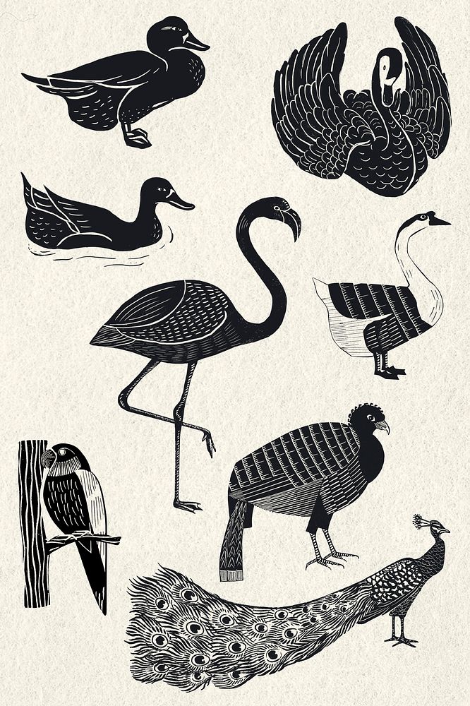 Birds psd black linocut stencil pattern drawing collection