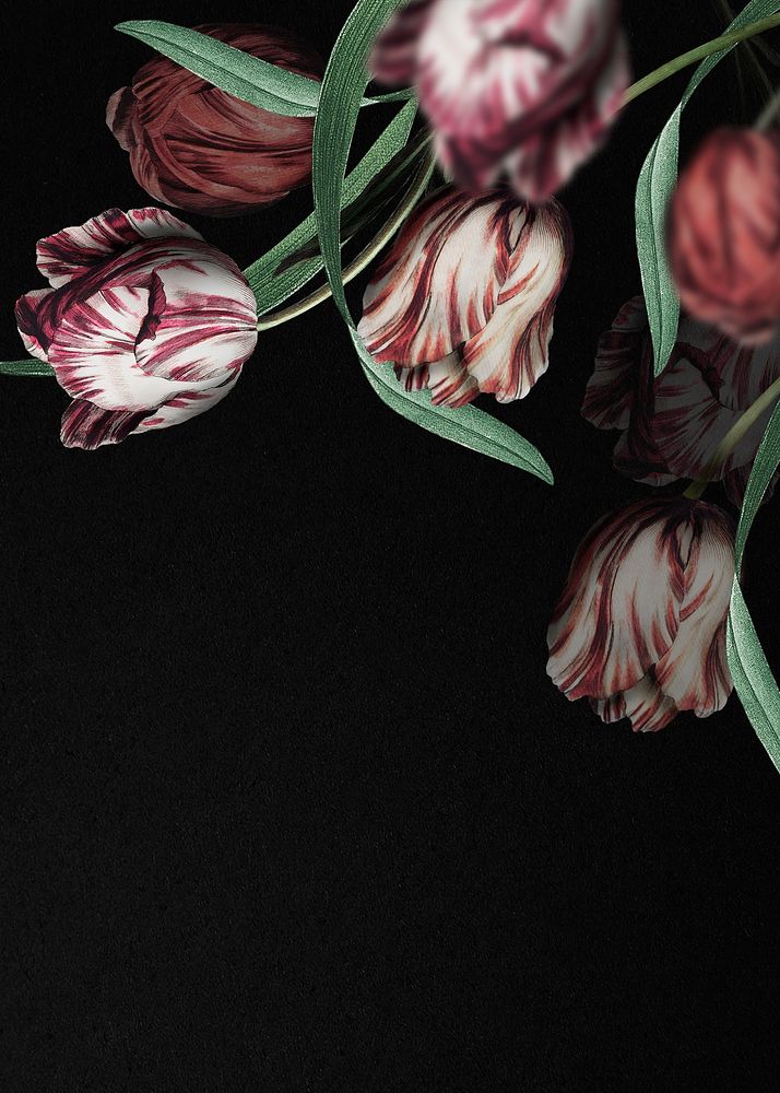 Floral wedding card with tulip border on black background