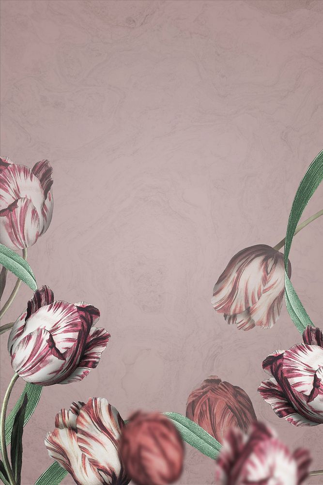 Tulip border on brown background