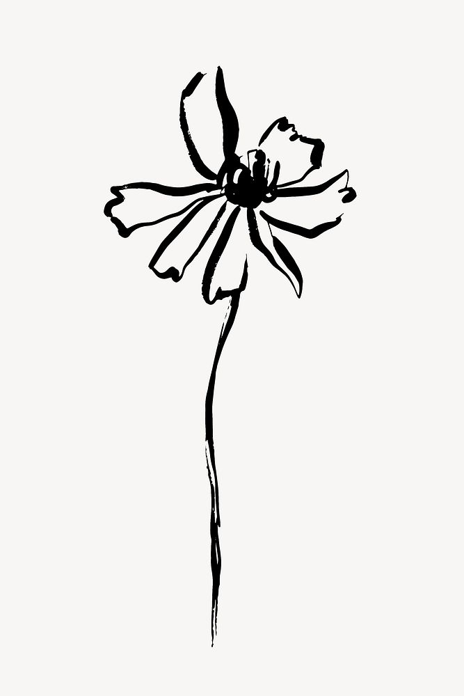 Flower ink brush collage element, line art design vector