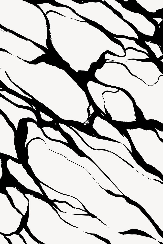 Abstract wavy background, black and white design vector
