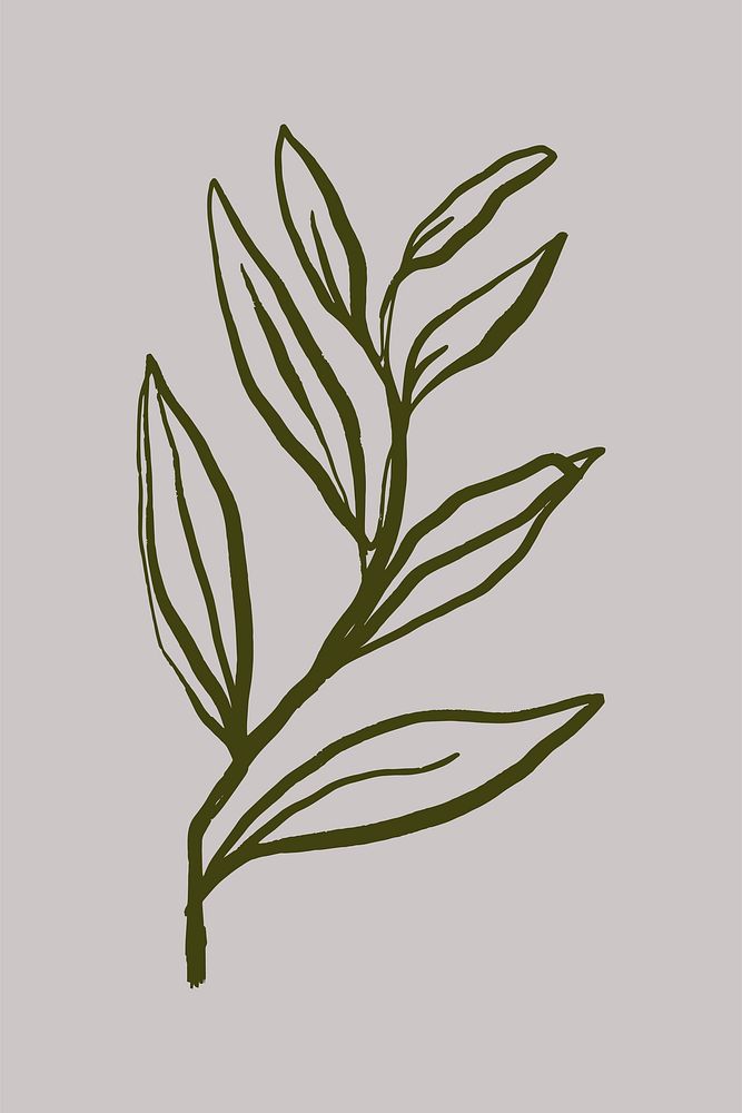 Leaf line art, aesthetic botanical  illustration