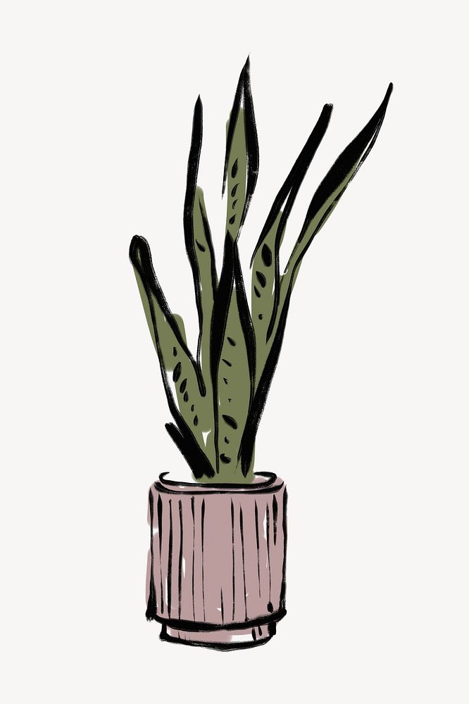 Houseplant line art, aesthetic illustration