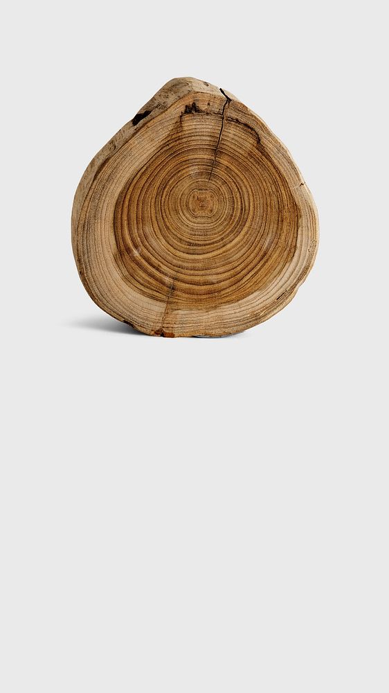 Wood slice background environment conservation