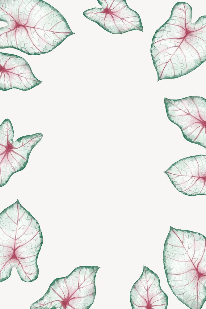 Caladium leaf frame background, aesthetic design vector