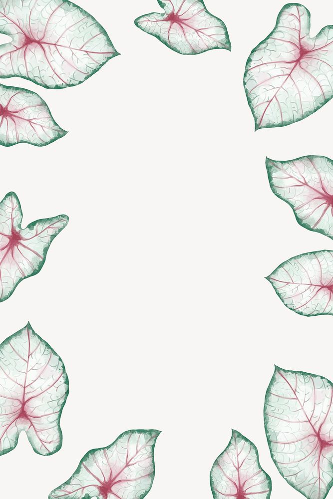 Caladium leaf frame background, aesthetic design psd