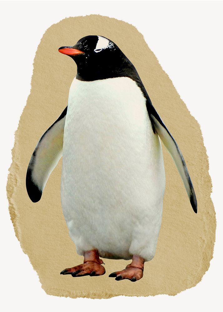 Penguin standing collage element, torn paper design 