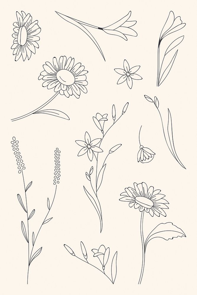 Floral pattern background, cream design 