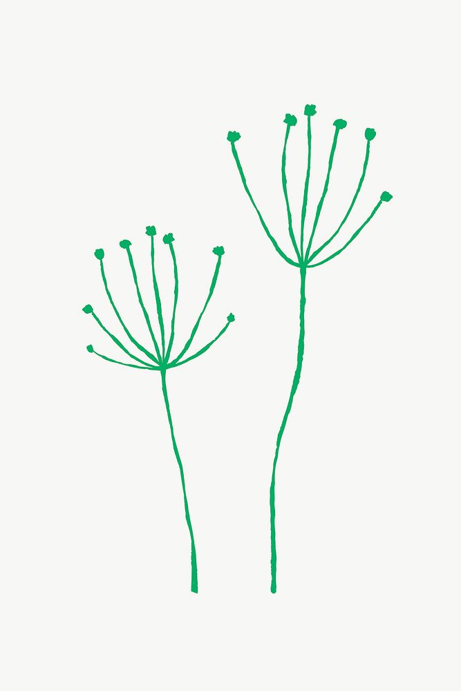Green dandelion flower branch aesthetic doodle illustration