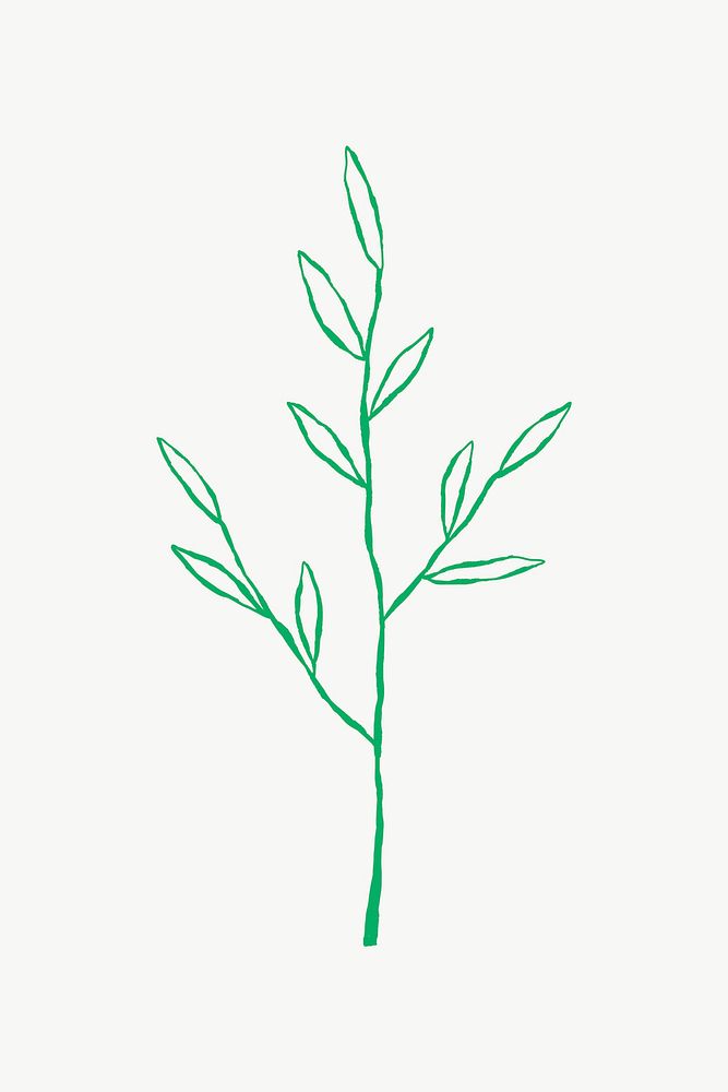 Botanical leaf branch cute doodle illustration