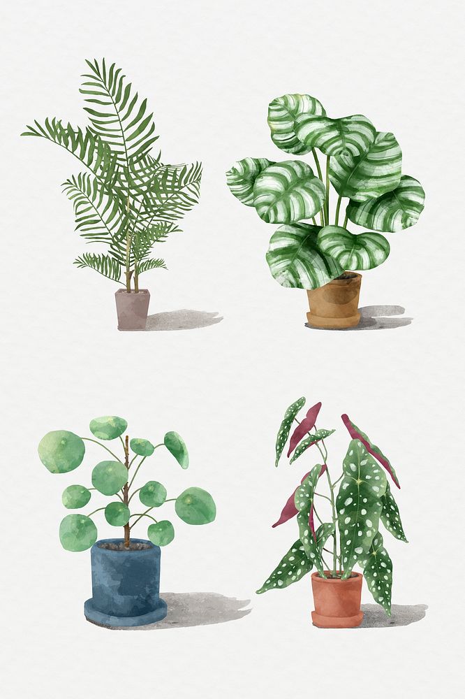 Tropical watercolor plant psd botanical set