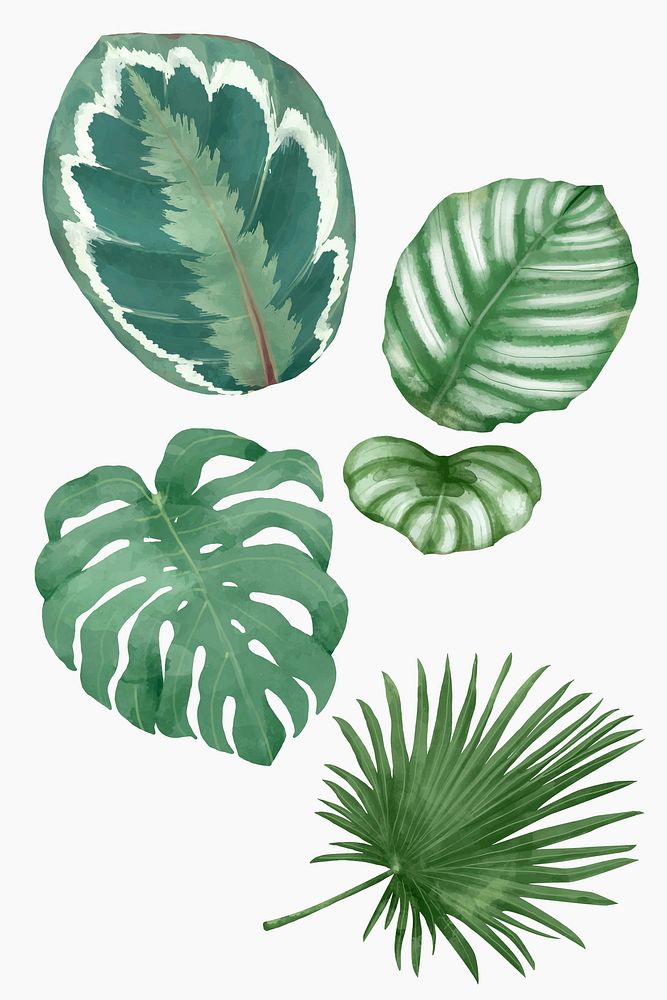 Tropical watercolor leaf plant vector set