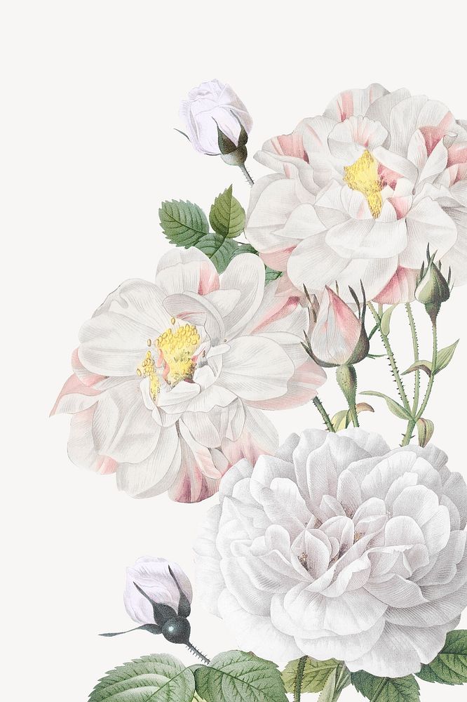 White flowers background, aesthetic design