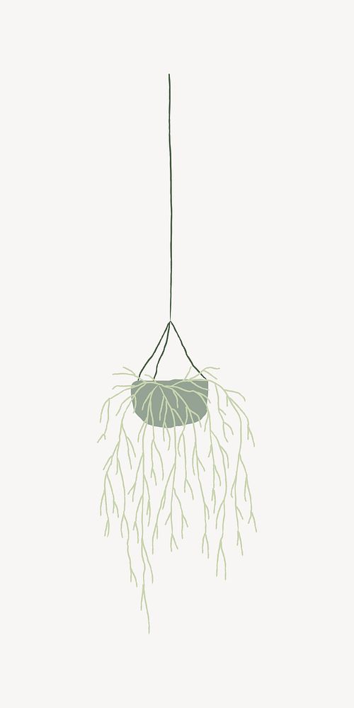 Rhipsalis doodle houseplant element vector