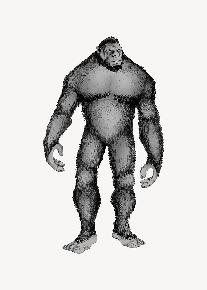 Gorilla monkey, animal illustration. Free public domain CC0 image.