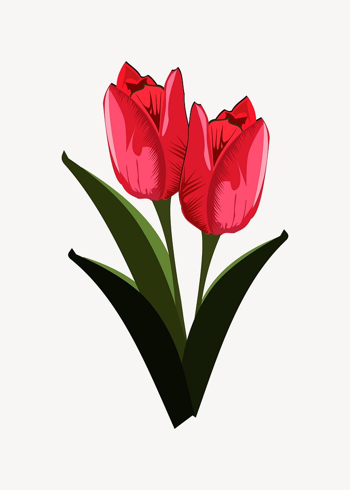 Tulip collage element psd. Free public domain CC0 image.