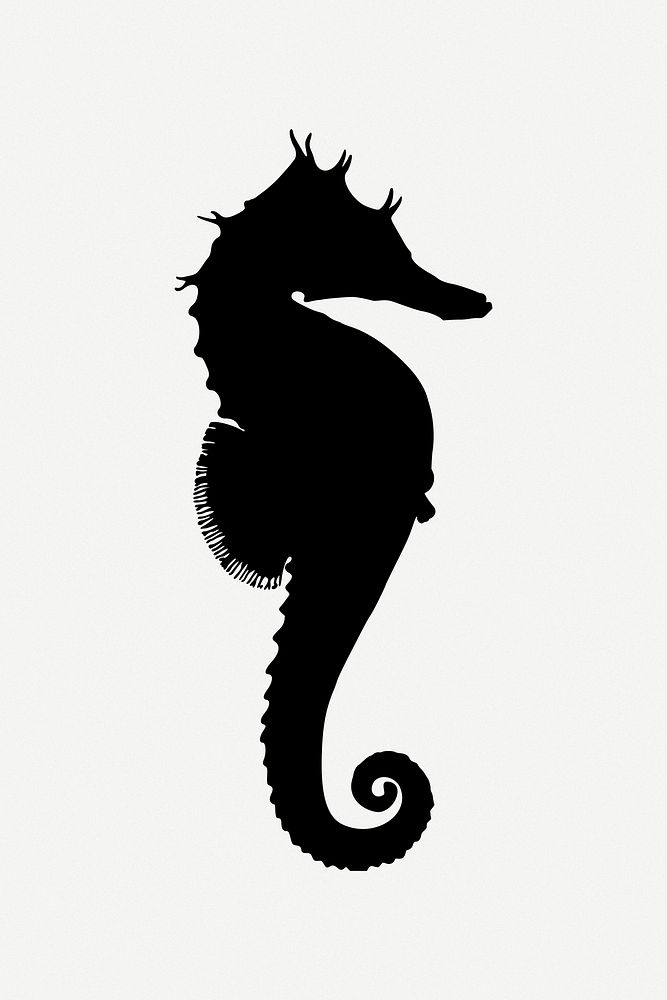 Seahorse clipart psd. Free public domain CC0 image.
