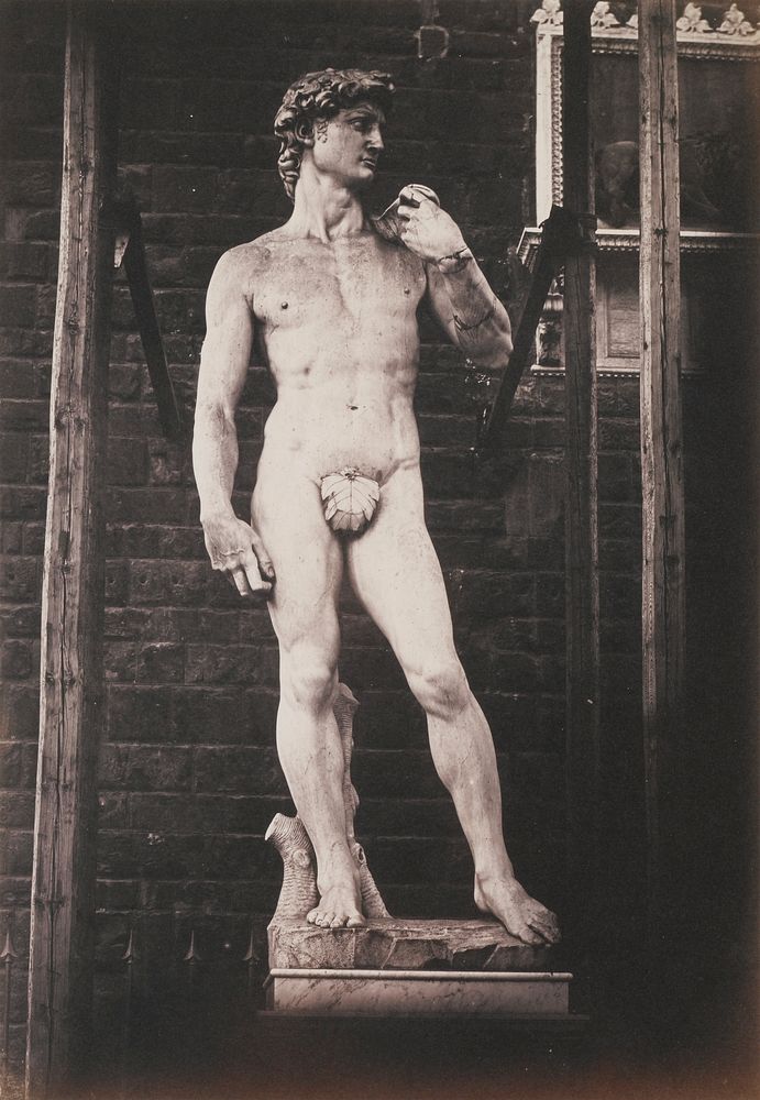 Fratelli Alinari's Michelangelo's sculpture of David. Original from The Minneapolis Institute of Art.