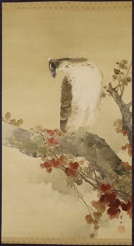 Brown and white eagle with grey beak perched on a thick branch; vines with red leaves twisted around branch. Original from…