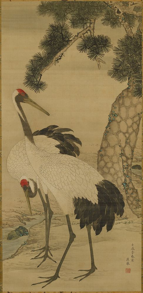 Two white cranes with black tail feathers, grey necks and red "caps" standing at the edge of a small stream; pine tree at L.…