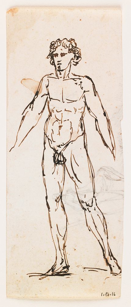 standing nude male with thick curly hair; hands not delineated; verso: sketch of arms, torso and head and sketchy figure…