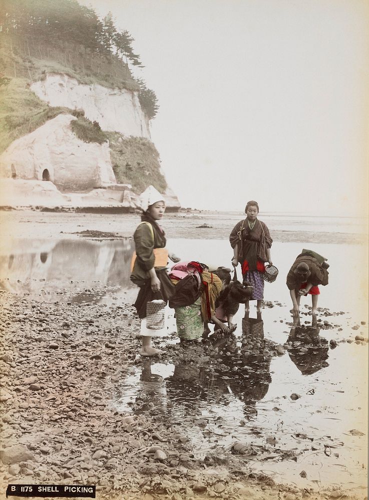 Five young women on a rocky shoreline picking up shells; two women standing upright, three bending over; tall bluff at left…