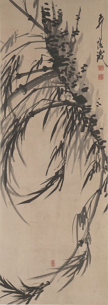 Bamboo with dense foliage extending from R center to upper center; smaller branches with dense leaves extend outward;…