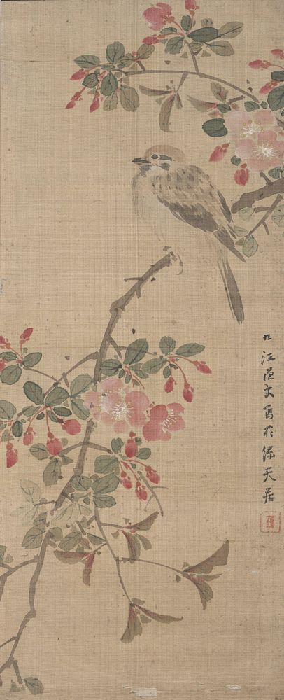 Small songbird perched on blossoming branch with pink blossoms; branch extends from URC to LLC; bird is situated near URC;…