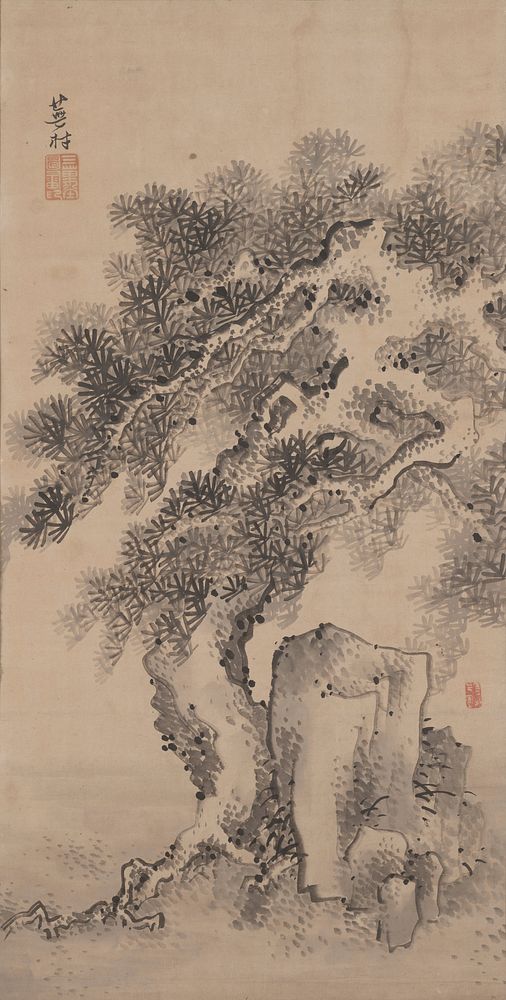 Gnarled pine tree with dense foliage and roots to L of square-shaped rocks. Original from the Minneapolis Institute of Art.