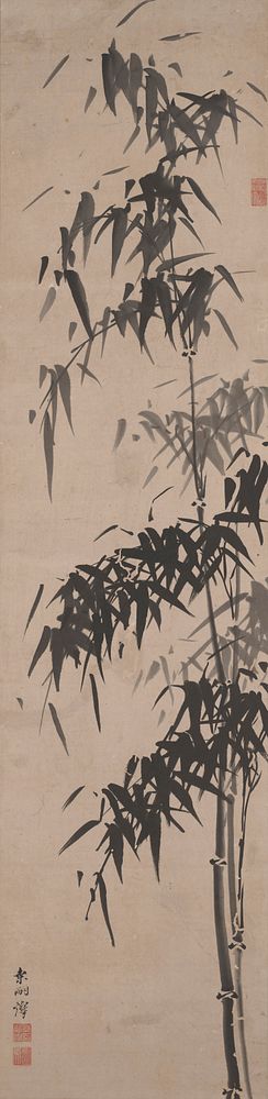 Two narrow stalks of bamboo at R with a third narrow shoot growing off R stalk; clusters of black and grey leaves; steel…