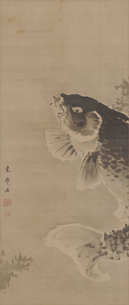 Side view of carp swimming upward, fins forward, tail thrust forward; part of body cut off from view. Original from the…