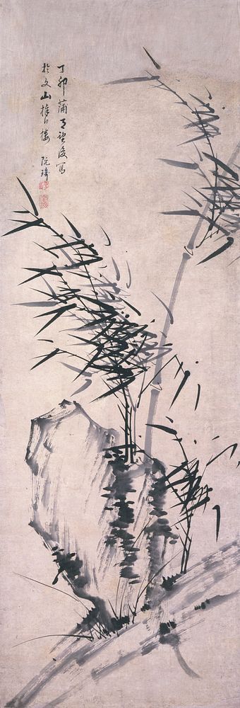 Large boulder on side of hill; bamboo springing from lower segment of boulder; larger, grey stalk of bamboo with light…