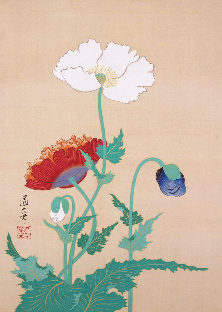 Four poppies in different stages: white poppy in full bloom; orange-red at L facing away; bent, blue opening bud at LR;…