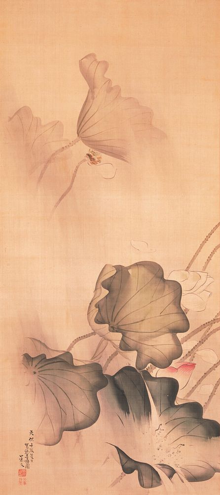 large green and gray lotus leaves at bottom blowing in the wind; closed pink blossom amid foliage; two gray lotus leaves in…