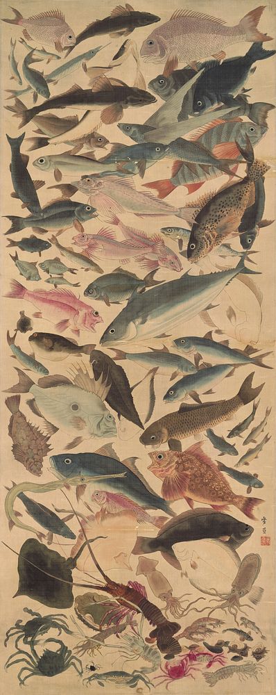 Dense cluster of many different varieties of fish swimming in all different directions; other sea life near bottom including…