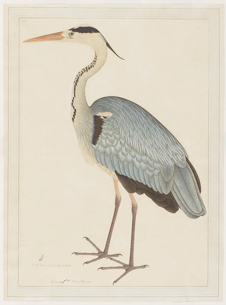 Image of a blue bird with long neck and legs facing left. Original from the Minneapolis Institute of Art.