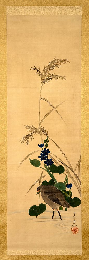 Bird walking in water in front of dark blue flowers with rich green foliage; reeds extending toward top of image. Original…