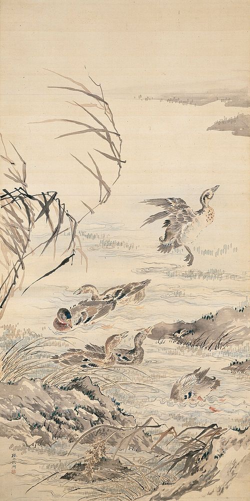 Colorful image of ducks swimming in pairs, young and old; one duck is flying away at R; rocks with grasses along bottom of…
