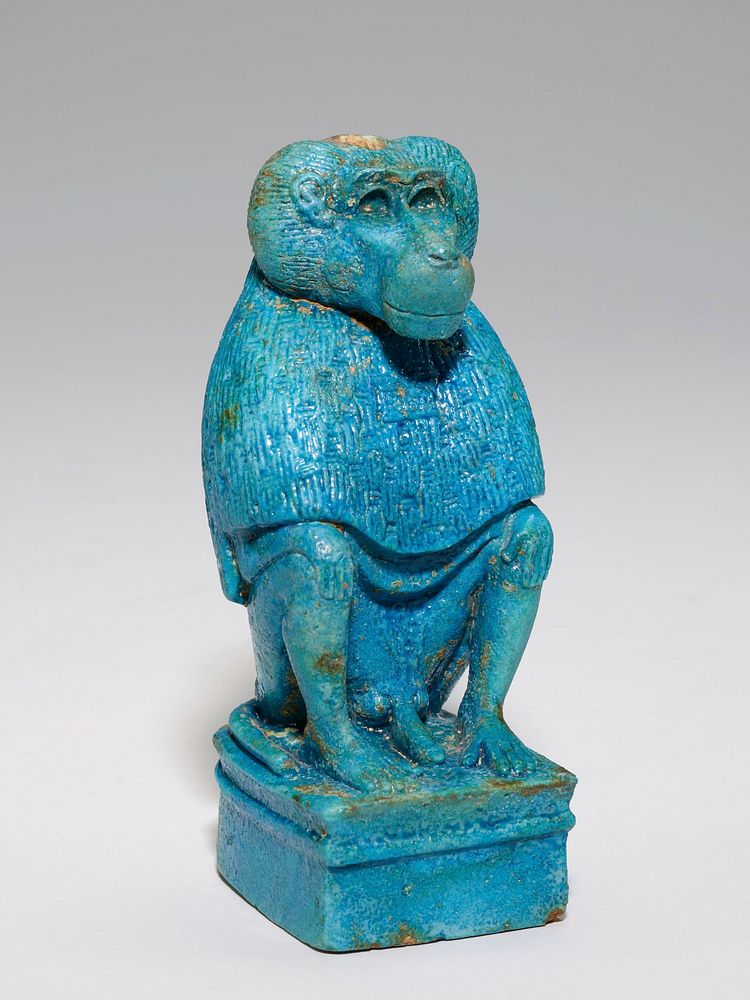 seated male baboon with its front paws on its knees and its tail wrapped along the PR side of its body; turquoise blue.…
