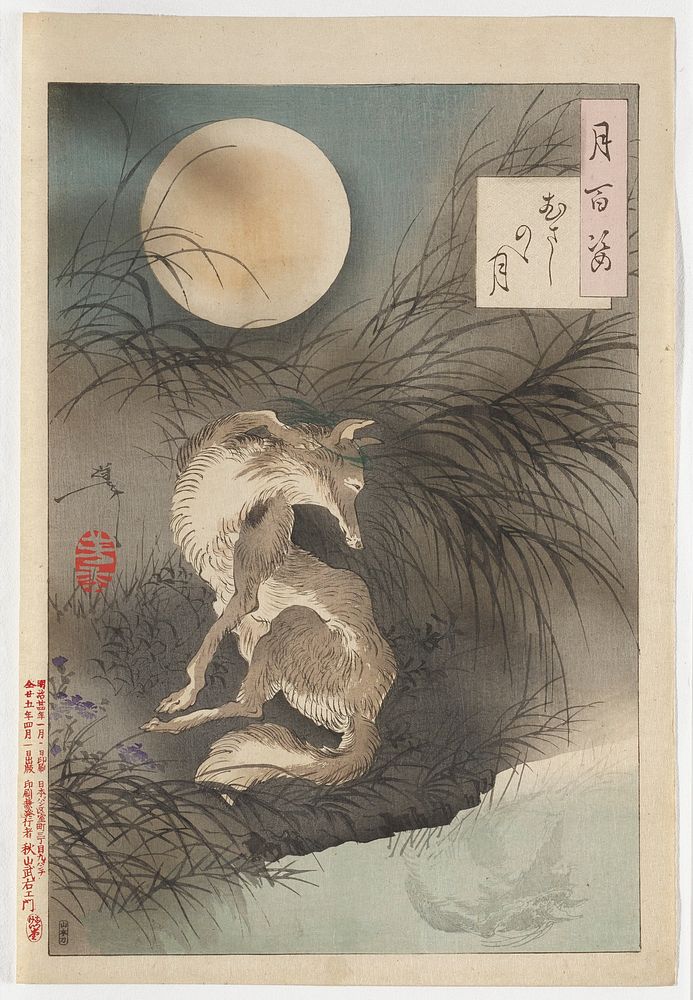 One sheet; seated wolf with its head bending over its back, with a very long, thin snout; wolf is seated at water's edge…