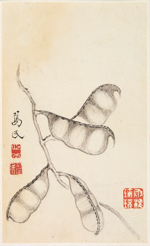 Stem with 4 attached pea pods, each containing 3 peas. Original from the Minneapolis Institute of Art.