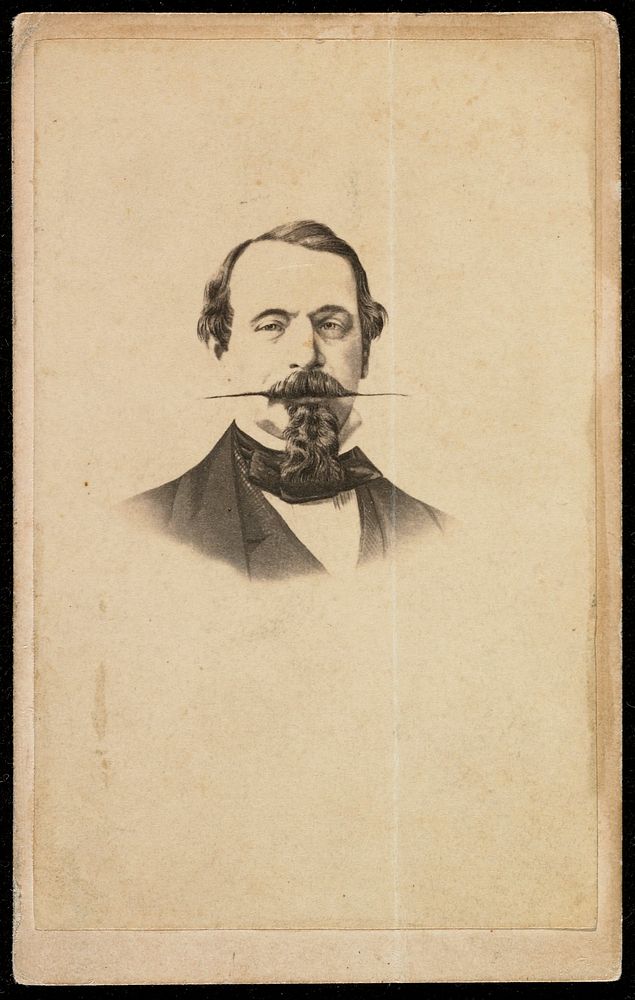 Napoleon III; from wet plate negative. Original from the Minneapolis Institute of Art.