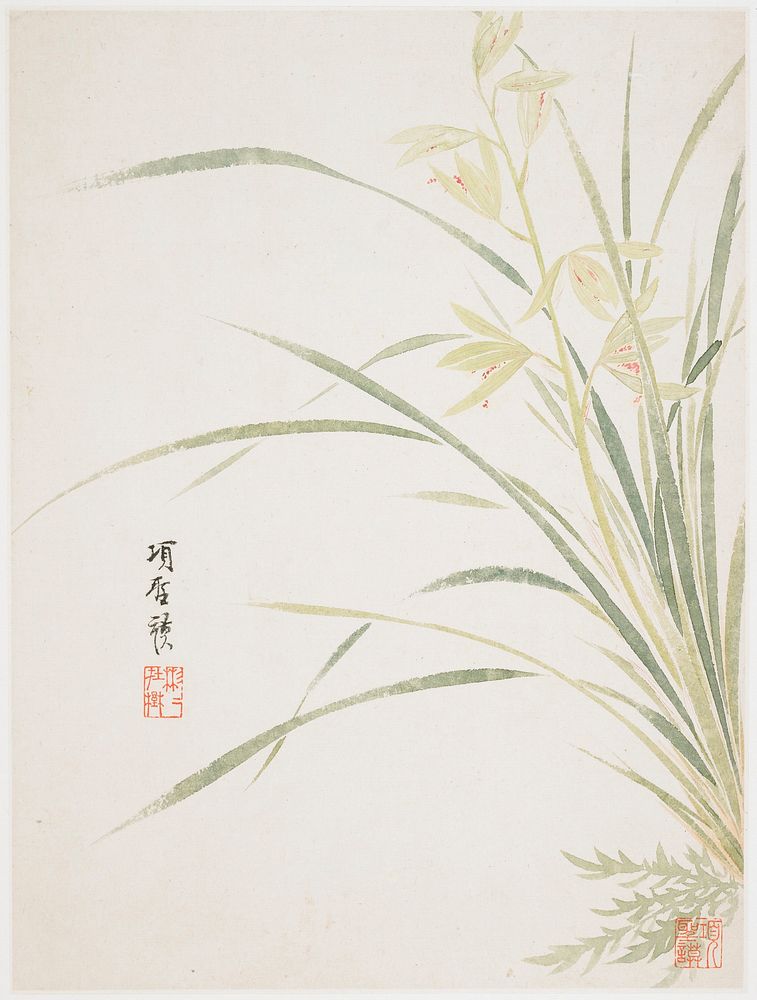 Long, slender green leaves at right edge with delicate red flowers encircled by long bud petals; inscription and seal at…