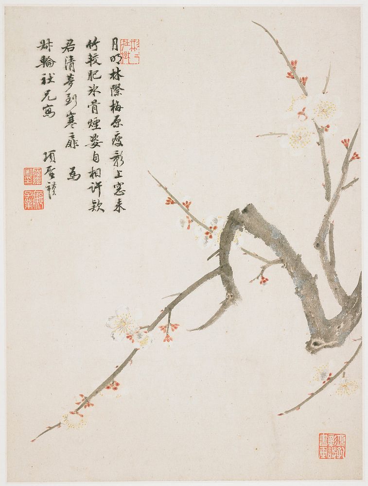 white blossoms with yellow spotted centers and red buds on a gnarled grey branch; inscription and 3 seals in ULC, seal in…