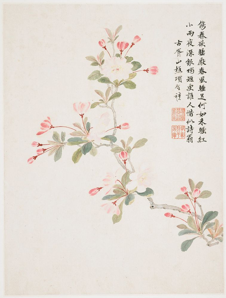 pink blossoms on dark pink stems, with clusters attached to grey branch; inscription and 2 seals at right. Original from the…