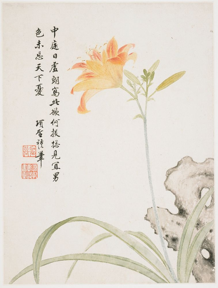 Large orange and pink flower on top of a blueish stem, with 4 buds; rock behind flower in LRC; inscription and 2 seals at…
