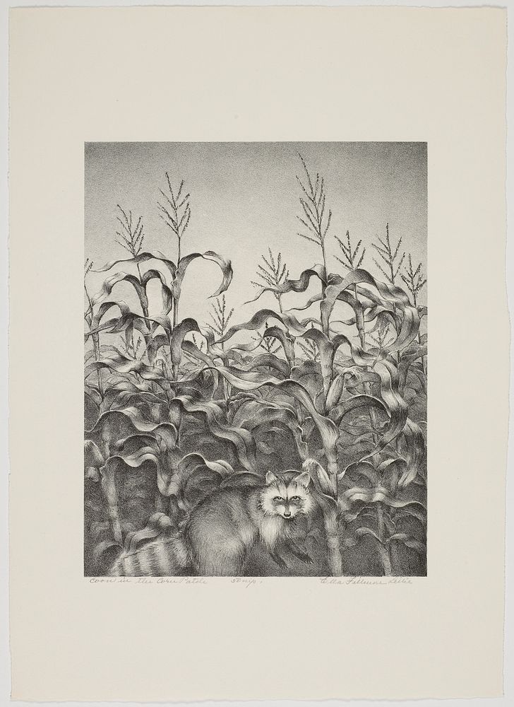 Coon in the Corn Patch. Original from the Minneapolis Institute of Art.