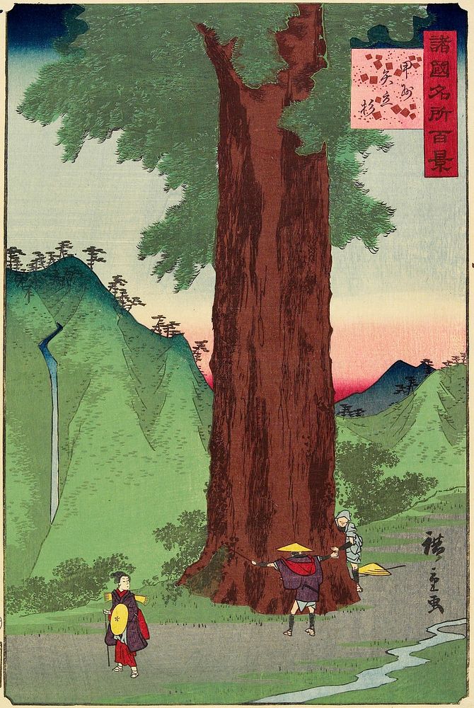 Giant Cedar, Kōshū Province. Original from the Minneapolis Institute of Art.