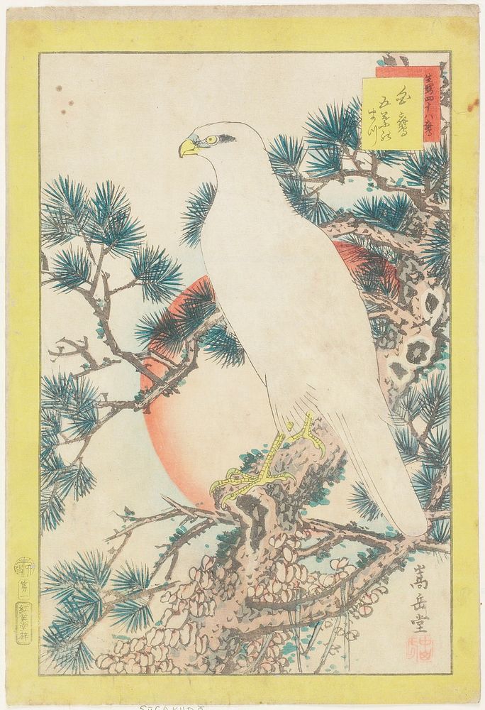 No. 1, White Falcon and Five-needled Pine. Original from the Minneapolis Institute of Art.