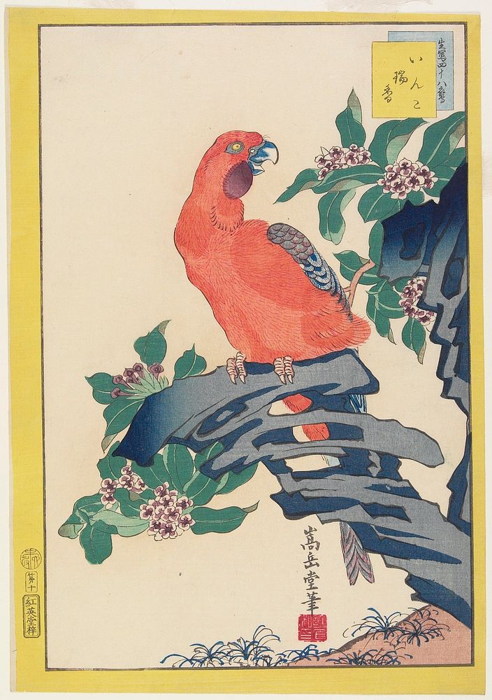 Pink Parrot on Rock. Original from the Minneapolis Institute of Art.